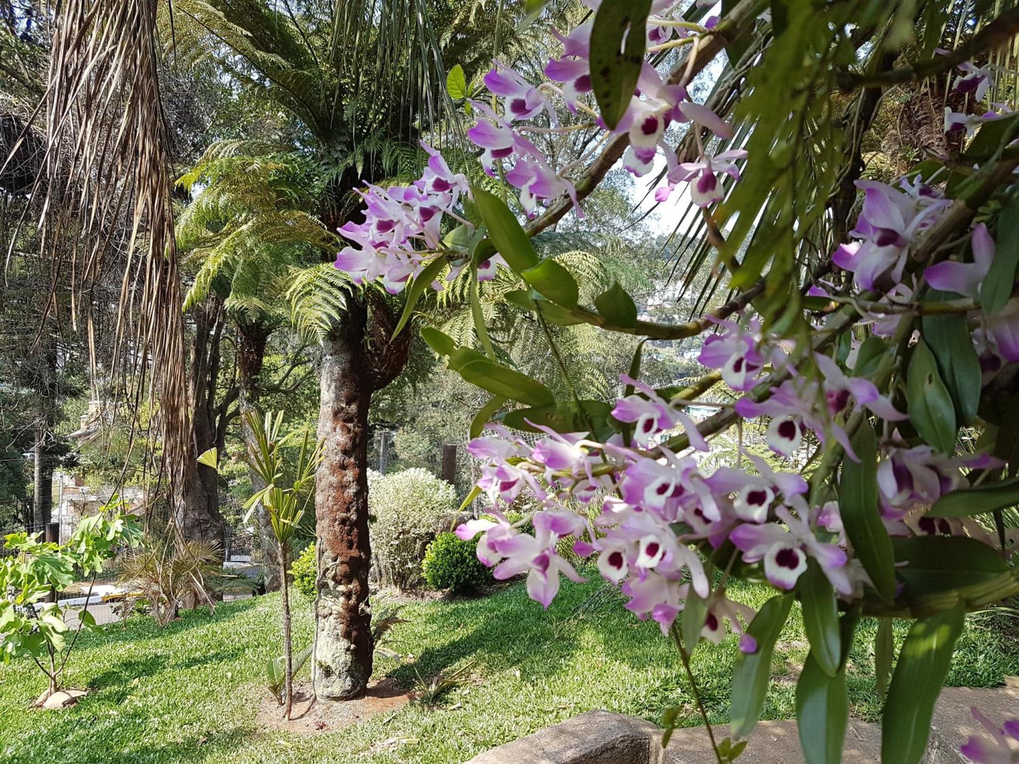 Residencia No Centro De Gramado别墅 外观 照片